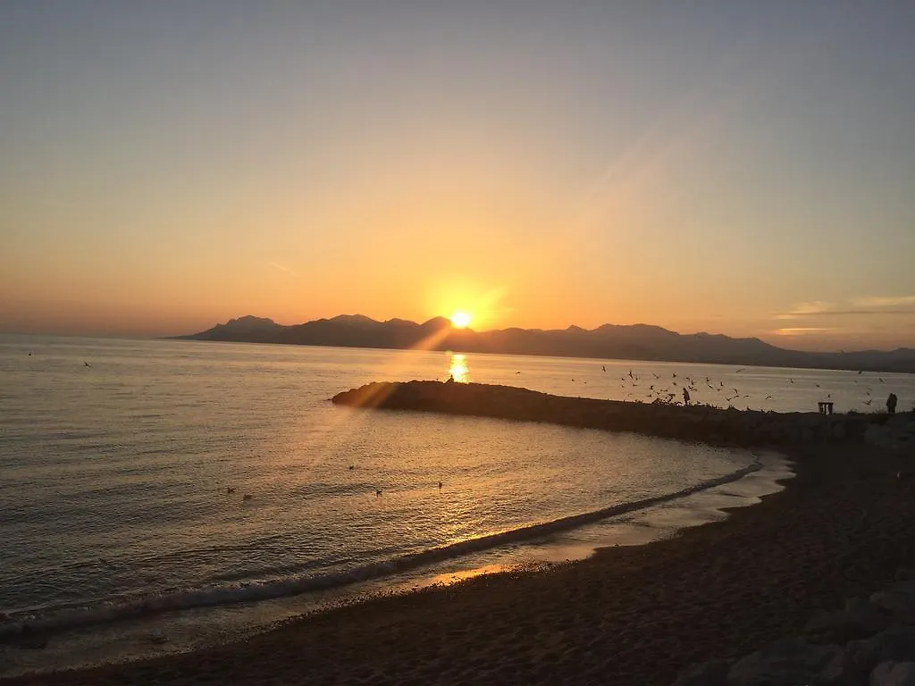 Appartement Studio Cosy Merle Cannes